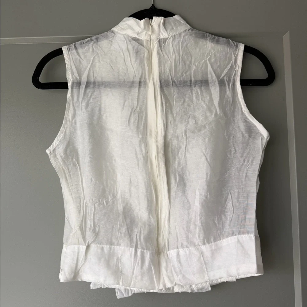 Isabella Ruffle-Front Shirt - Picture 3 of 8
